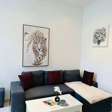 Palais T2 300m De La Parking En Apartment *